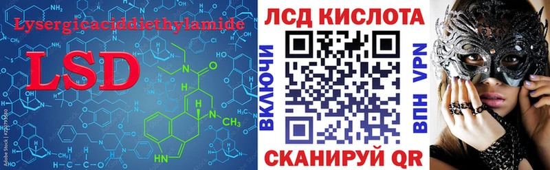 ЛСД экстази ecstasy  наркошоп  Александров 