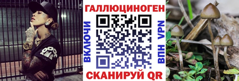 Галлюциногенные грибы мухоморы  Александров 