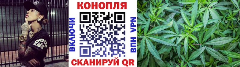 Канабис конопля  МЕГА ONION  Александров  как найти закладки 